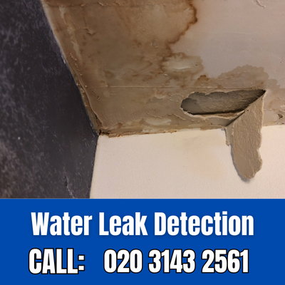 Expert Water Leak Detection Services in Muswell Hill | Muswell Hill Leak Detection